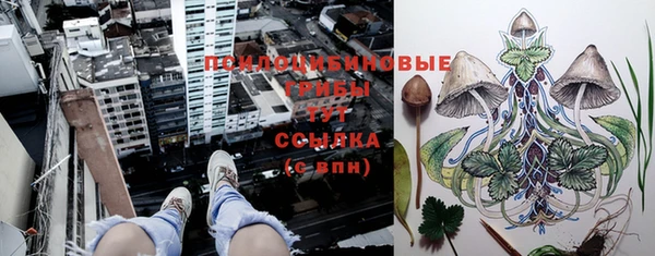 MDMA Ладушкин