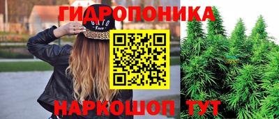 ешки Абинск