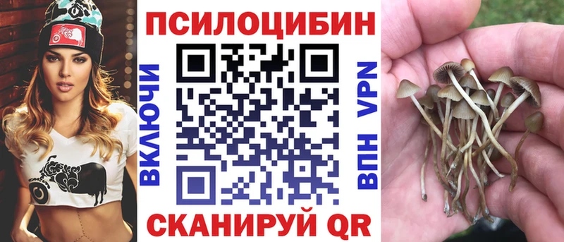Псилоцибиновые грибы GOLDEN TEACHER  Новошахтинск 