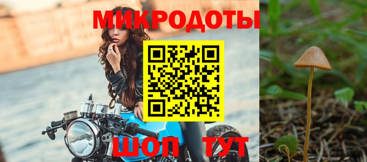 Псилоцибиновые грибы мицелий  Новошахтинск 